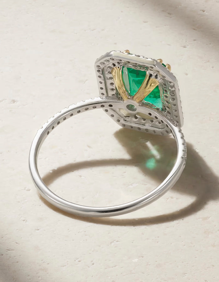 EZRA RING