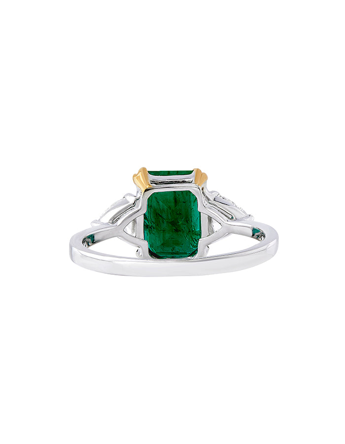IRIS RING